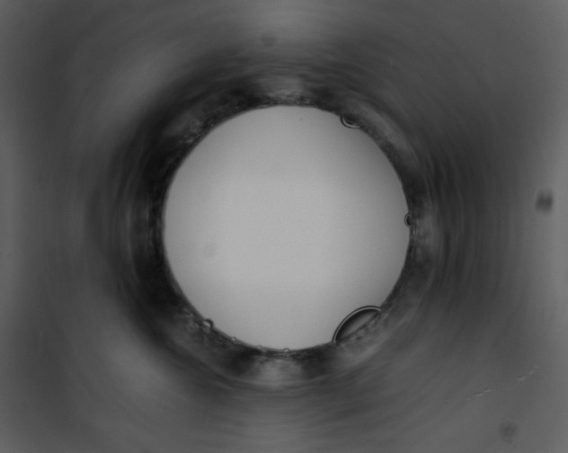 X0000101190572200807181514