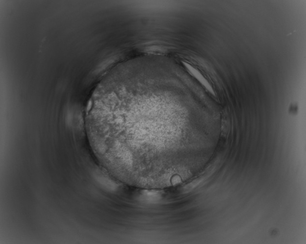 X0000101190573200807181514