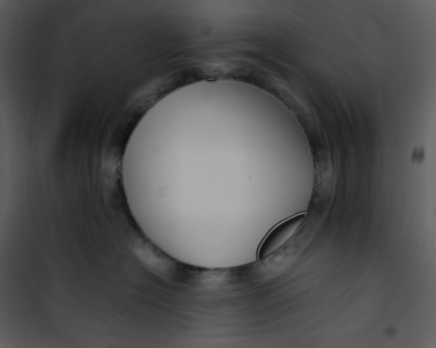 X0000101190574200807181514