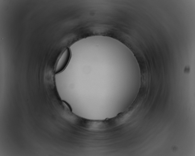 X0000101190575200807181514