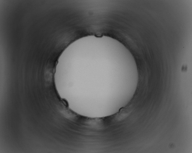 X0000101190576200807181514