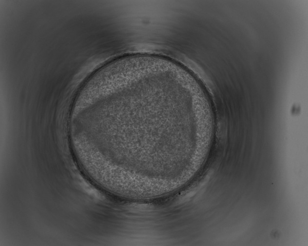 X0000101190577200807181513