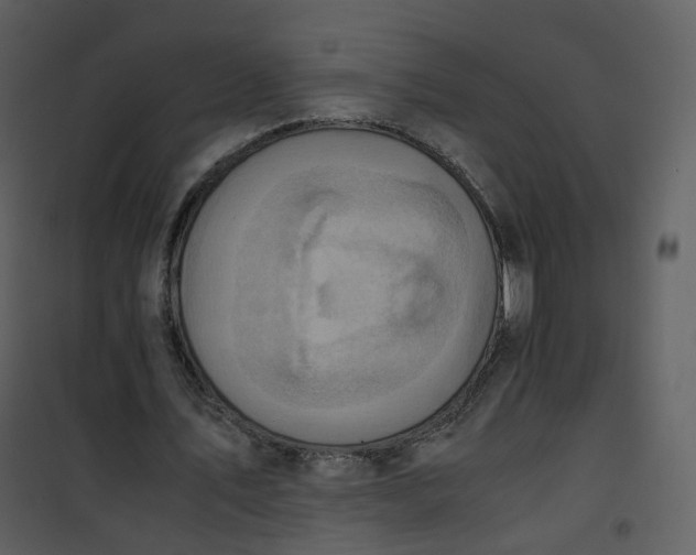 X0000101190579200807181513