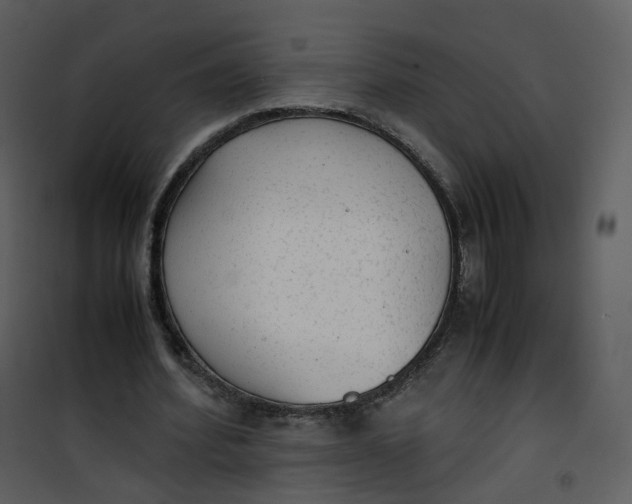 X0000101190580200807181513