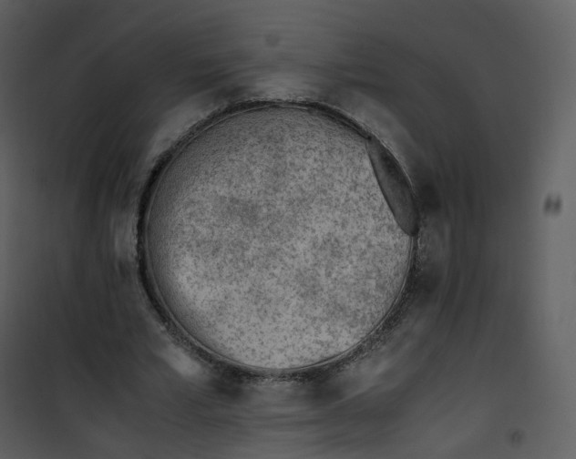 X0000101190581200807181513