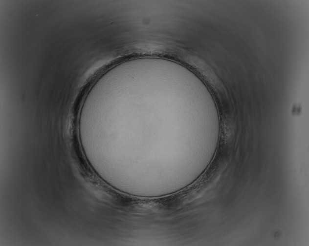 X0000101190583200807181513