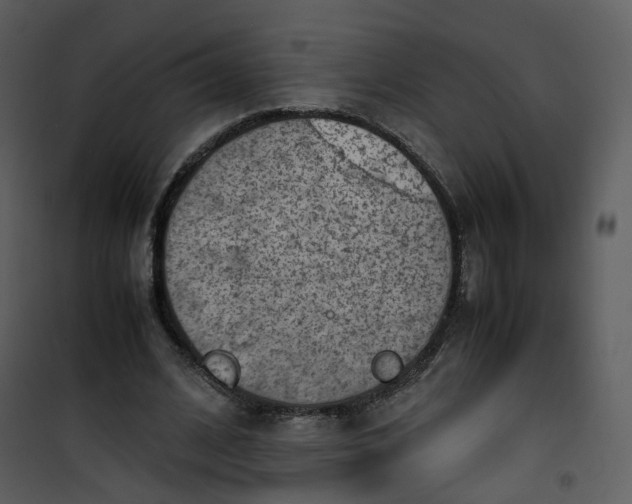 X0000101190584200807181513