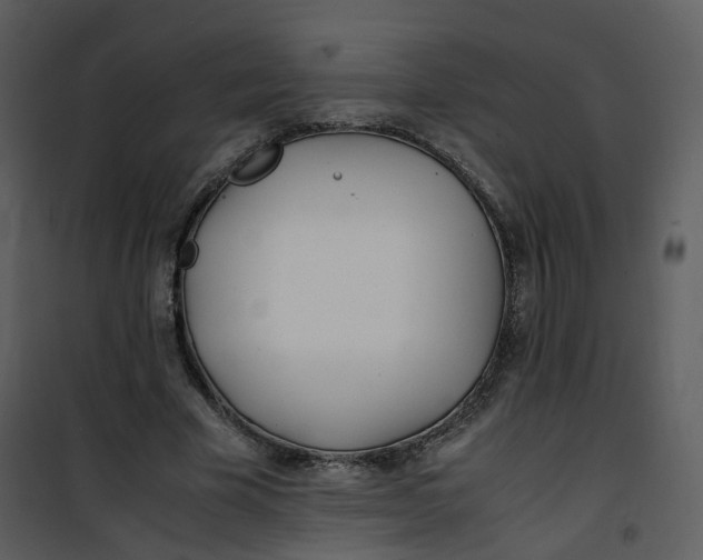 X0000101190585200807181513