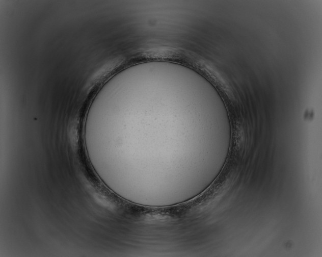 X0000101190586200807181513
