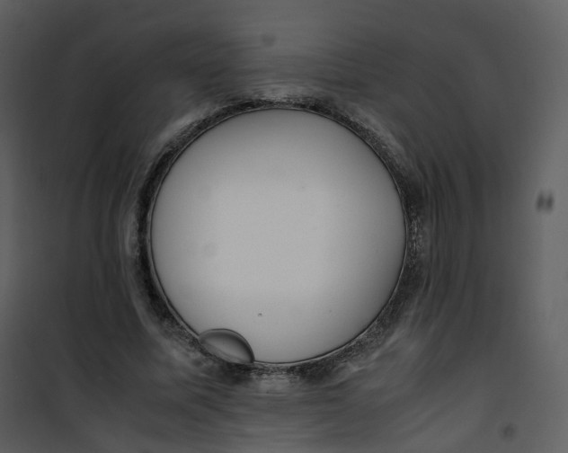 X0000101190587200807181513
