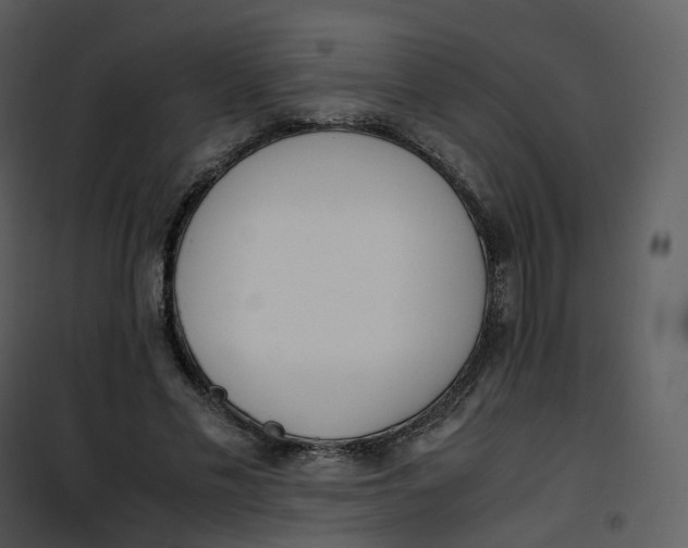 X0000101190589200807181513