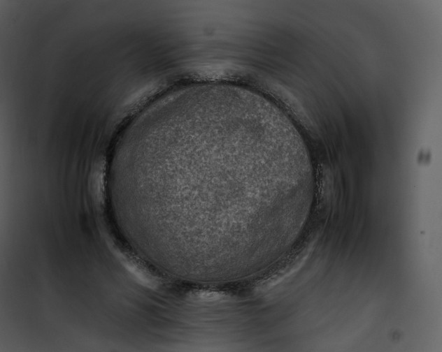 X0000101190590200807181513