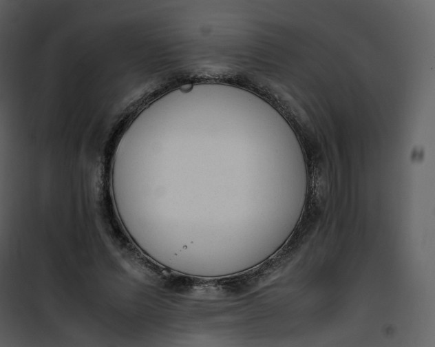 X0000101190591200807181513