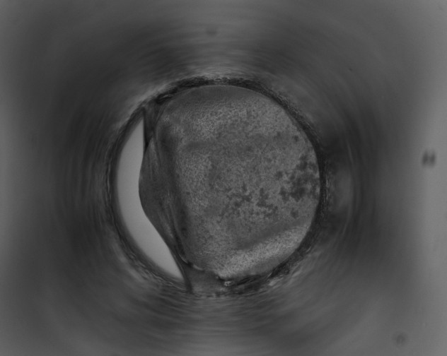 X0000101190592200807181513