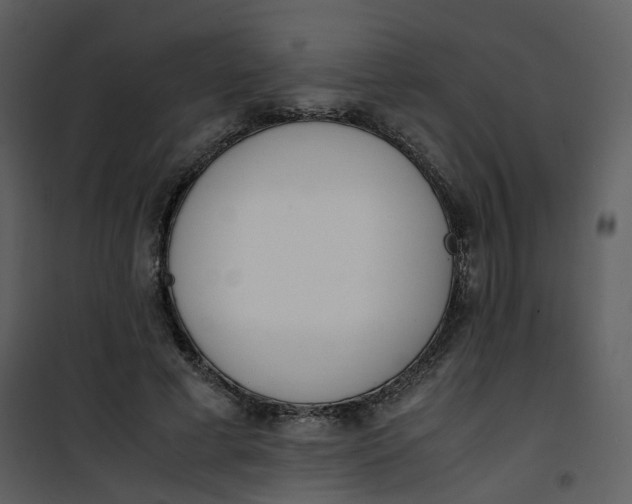 X0000101190593200807181513