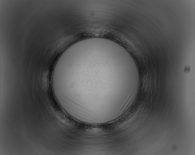 X0000101190594200807181513