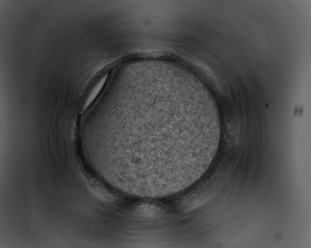 X0000101190596200807181513