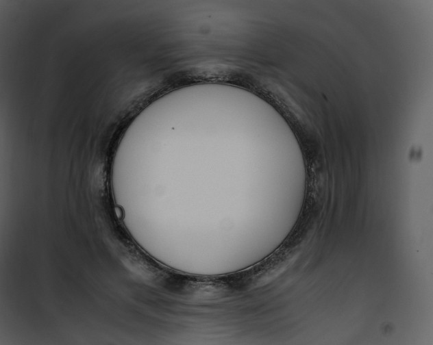 X0000101190597200807181513