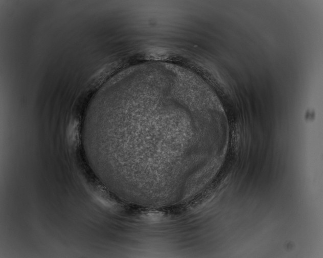X0000101190598200807181513
