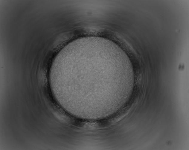 X0000101190599200807181513