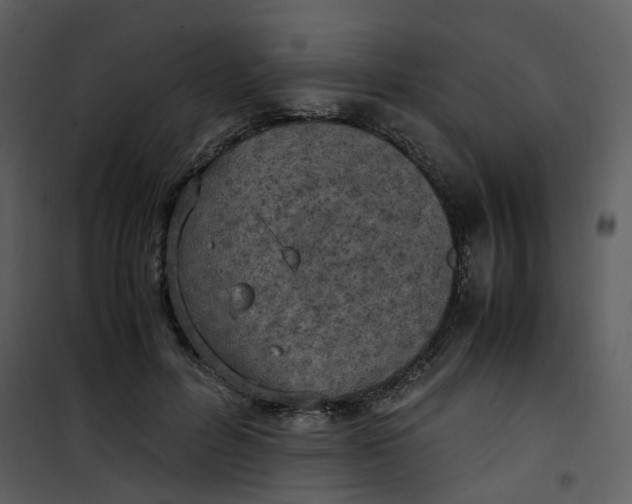 X0000101190600200807181513