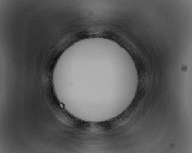 X0000101190601200807181513