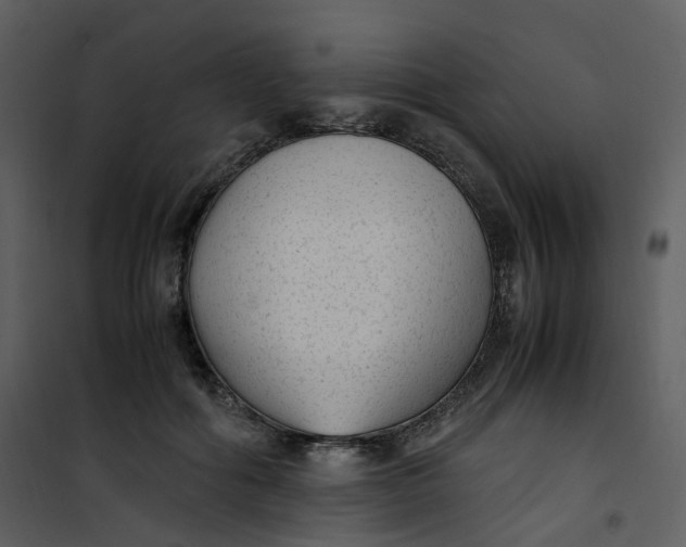 X0000101190602200807181513