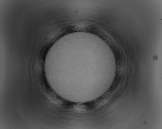 X0000101190603200807181513