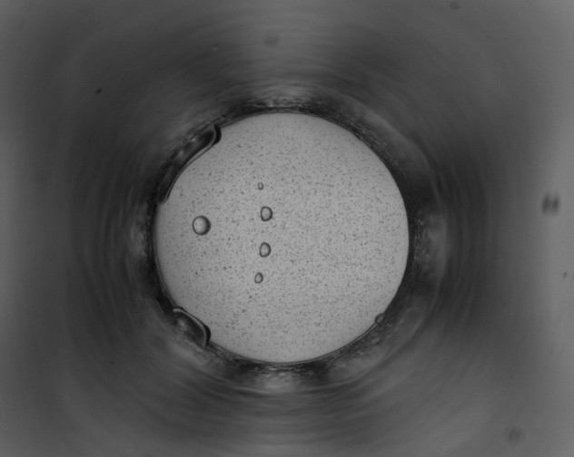 X0000101190604200807181513
