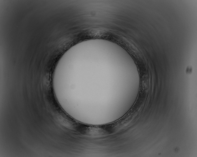 X0000101190605200807181513