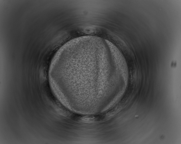 X0000101190606200807181513