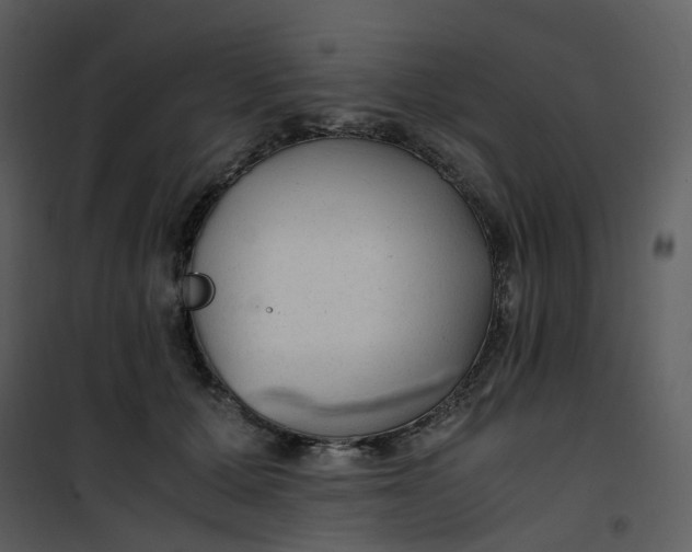 X0000101190607200807181513