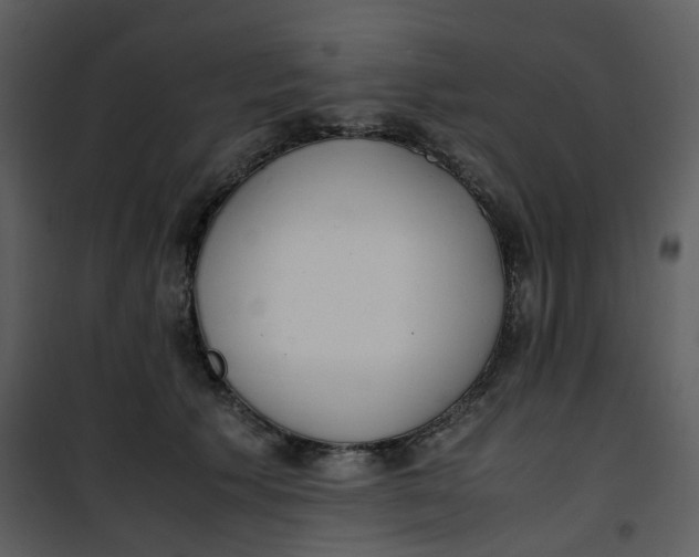 X0000101190609200807181513