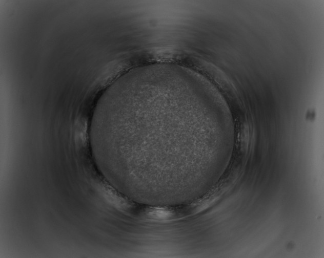 X0000101190610200807181513