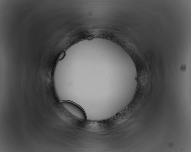 X0000101190611200807181513