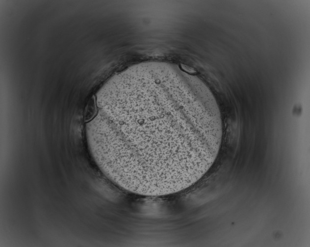 X0000101190612200807181513