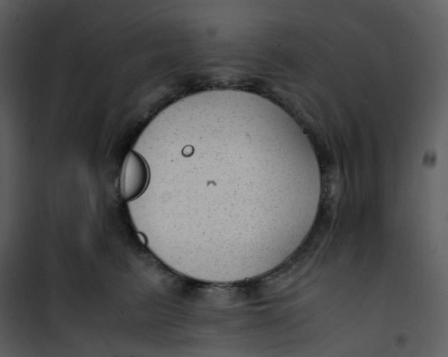 X0000101190615200807181513