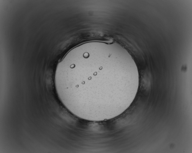 X0000101190616200807181513