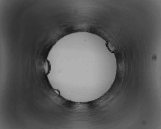 X0000101190617200807181513