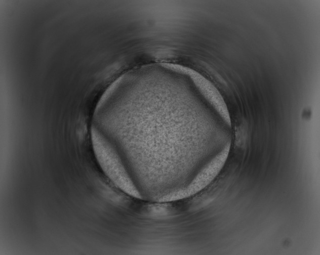 X0000101190618200807181513