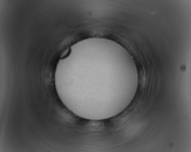 X0000101190619200807181513