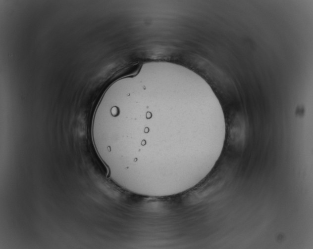 X0000101190620200807181513