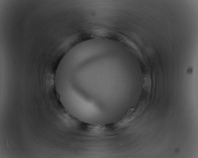 X0000101190621200807181513