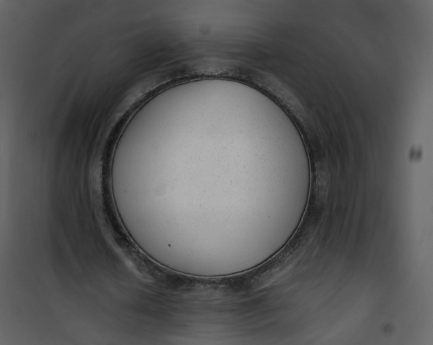 X0000101190626200807181512