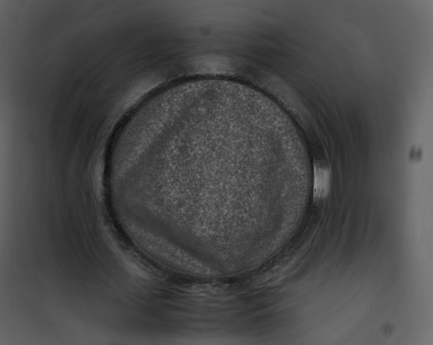 X0000101190627200807181512