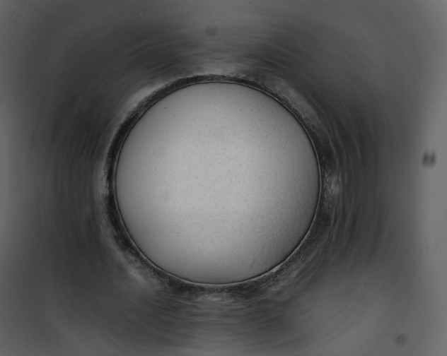 X0000101190628200807181512