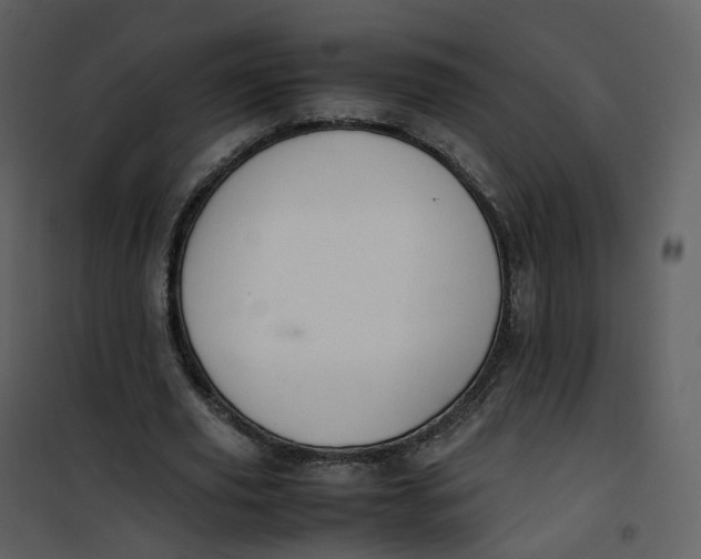 X0000101190629200807181512