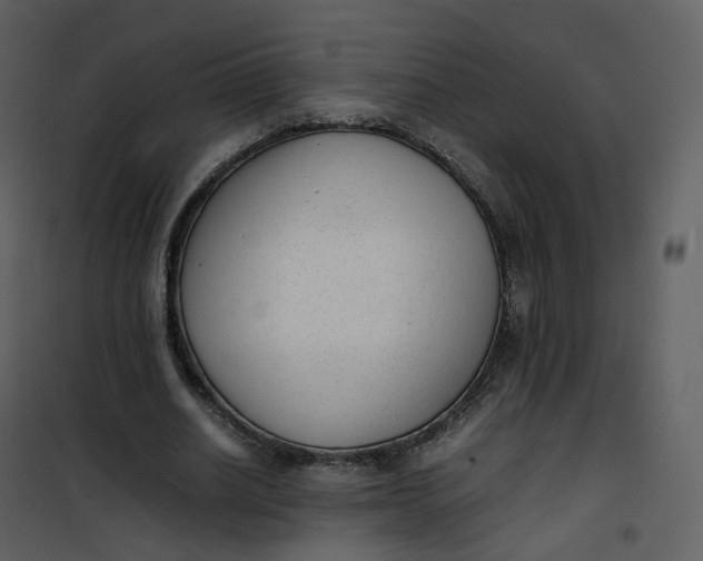 X0000101190630200807181512