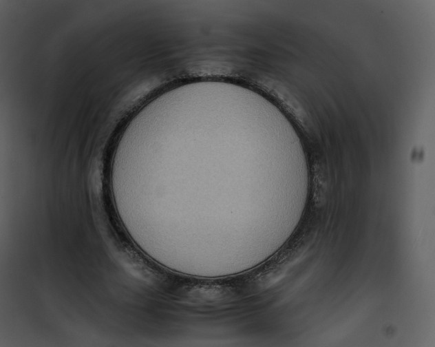 X0000101190631200807181512