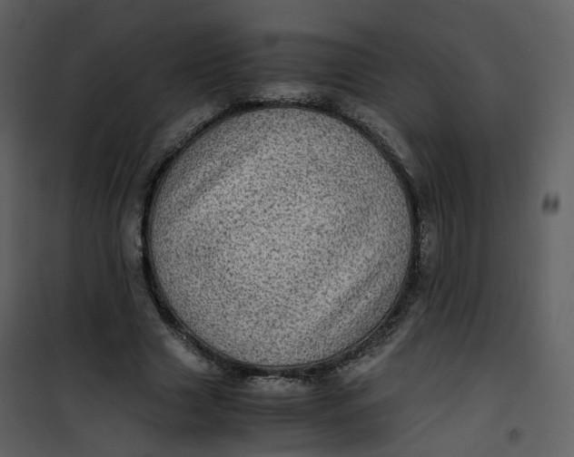 X0000101190633200807181512
